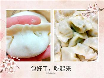 荠菜猪肉水饺-春天的味道的做法步骤3