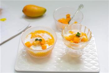 原汁机食谱 好吃又简单的芒果冰沙的做法步骤10