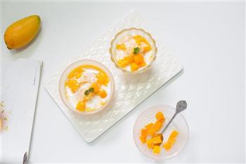 原汁机食谱 好吃又简单的芒果冰沙的做法步骤8