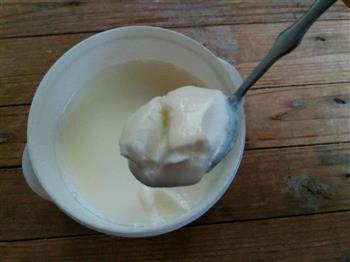 自制酸奶的做法步骤11