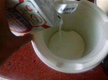 宝宝点心-自制老酸奶的做法步骤2