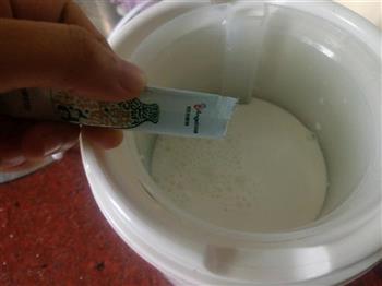 宝宝点心-自制老酸奶的做法步骤3