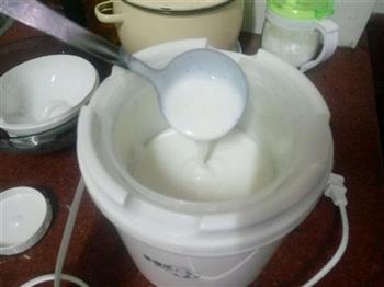 宝宝点心-自制老酸奶的做法步骤6
