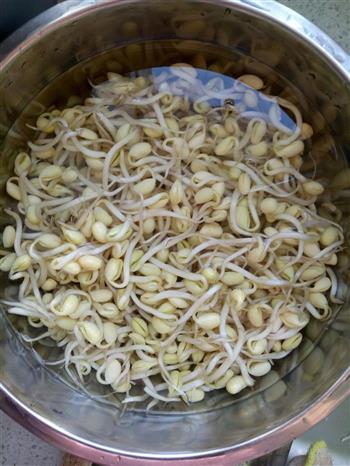 清炒豆芽豆干的做法步骤1