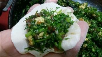 茴香饺子的做法步骤10