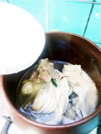 砂锅鱼头豆腐汤的做法步骤4