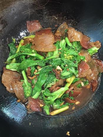 菜苔炒腊肉的做法步骤10
