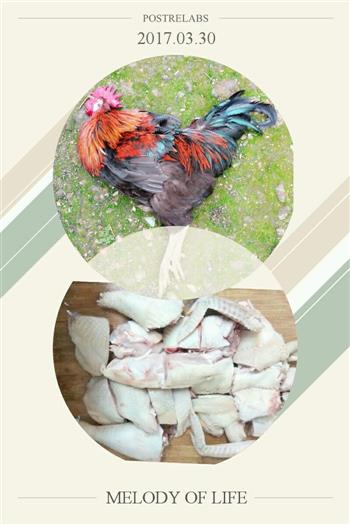 公鸡炖甘蔗根的做法图解1