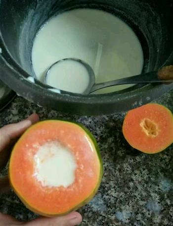 木瓜牛奶布丁的做法图解4