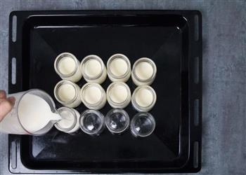 酸奶盆栽的做法步骤6