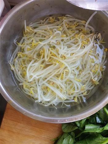 凉拌菠菜绿豆芽粉条的做法步骤1