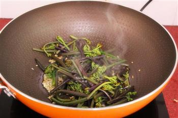 春天里的野菜，蒜蓉炒蕨菜的做法步骤5