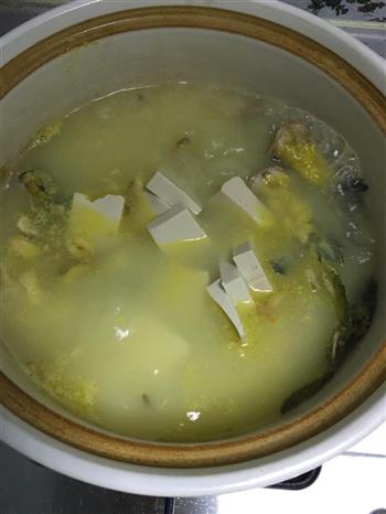 黄颡鱼豆腐汤的做法步骤6