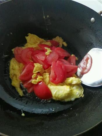 西红柿鸡蛋饺子面的做法步骤5