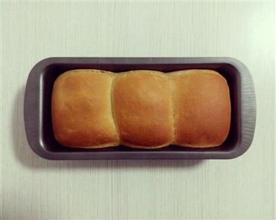 全麦土司面包