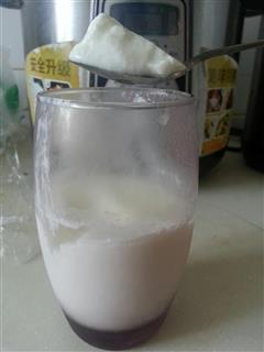 自制老酸奶简易新法