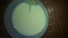 香瓜牛奶汁