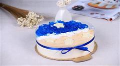 小清新海洋蛋糕
