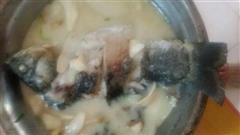 杏鲍菇鲫鱼汤的热量