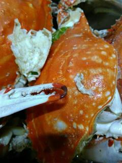 红烧梭子蟹