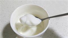 面包機版自制酸奶