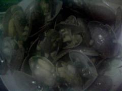 沙茶炒花蛤