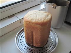 北海道中种面包