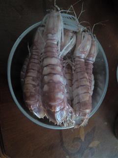 白灼濑尿虾