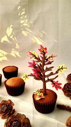 盆栽枫树杯蛋糕