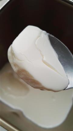 自做酸奶