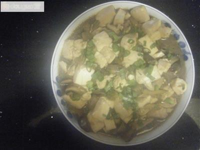蚝菇豆腐