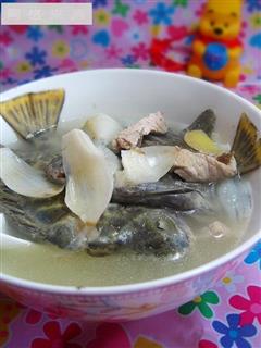 百合金鲴立鱼汤