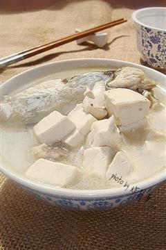 鱼鳔鱼头豆腐汤的热量