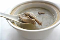 鸽子清补凉汤的热量