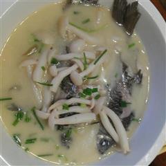 牛奶蘑菇鲫鱼汤