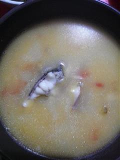 西红柿黑鱼汤