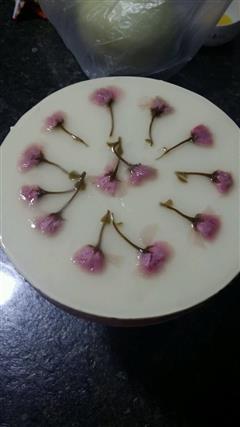 樱花樱桃奶酪渐变蛋糕