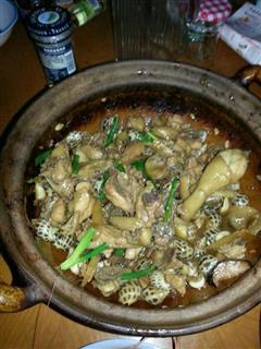 花螺焖鸡