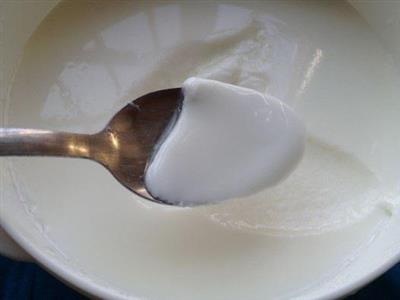 自制蜂蜜酸奶