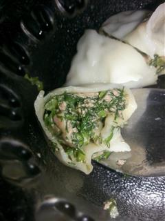 茴香饺子