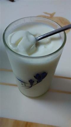 自制酸奶     用面包机奶粉做酸奶