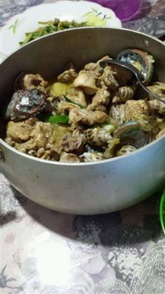 花螺鲍鱼焖鸡