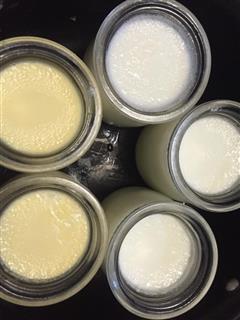 地道港式双皮奶即鲜奶炖蛋白的热量