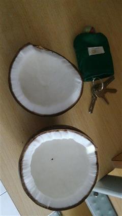 椰子 椰子汁 椰奶 椰蓉 纯鲜提炼