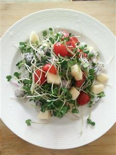 减肥清淡沙拉-萝卜苗蔬果沙拉