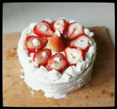 简略草莓奶油蛋糕-时令蛋糕优品