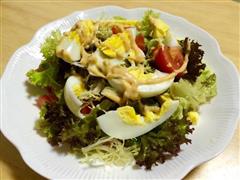 鸡蛋蔬菜沙拉