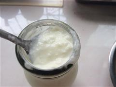 自制双歧杆菌酸奶