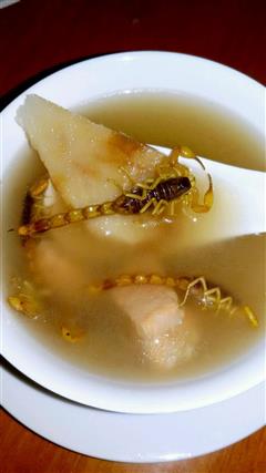 蝎子土伏灵煲瘦肉汤