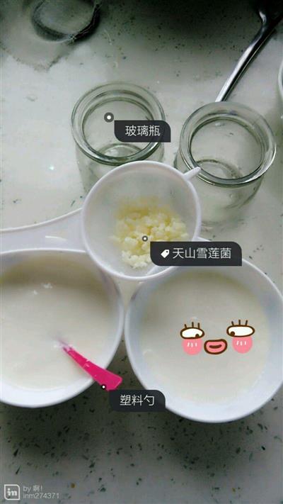 天山雪莲菌自制酸奶